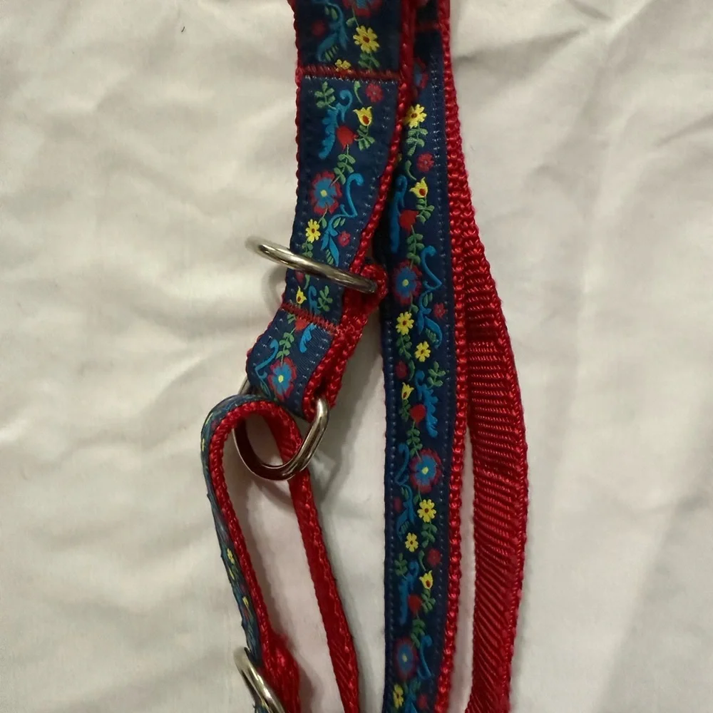 RC Pets Red and Blue Floral Training Collar Size l/g 19”-26”‎ New